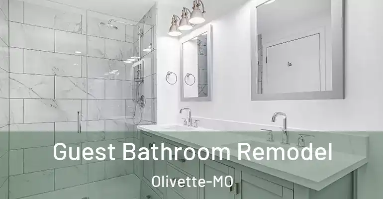 inner Bathroom imggen Guest Bathroom Remodel Olivette-MO