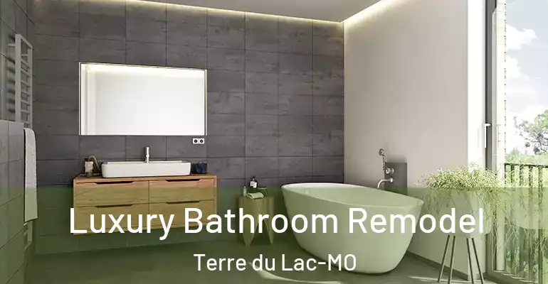 inner Bathroom imggen Luxury Bathroom Remodel Terre du Lac-MO