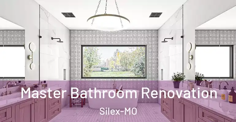 inner Bathroom imggen Master Bathroom Renovation Silex-MO