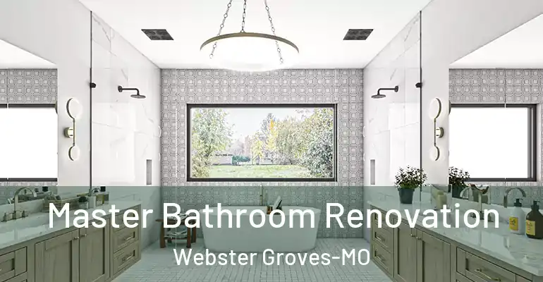 inner Bathroom imggen Master Bathroom Renovation Webster Groves-MO