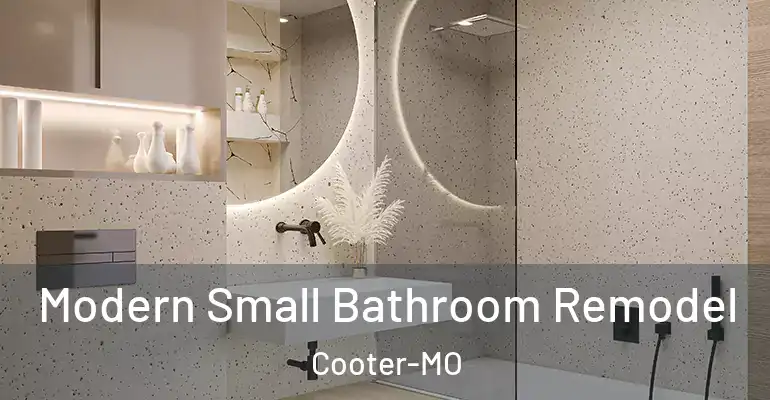inner Bathroom imggen Modern Small Bathroom Remodel Cooter-MO