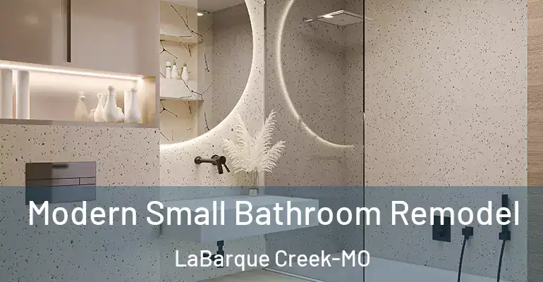 inner Bathroom imggen Modern Small Bathroom Remodel LaBarque Creek-MO