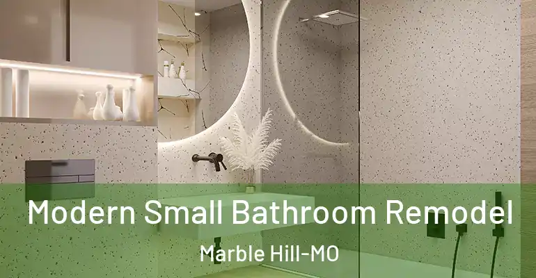 inner Bathroom imggen Modern Small Bathroom Remodel Marble Hill-MO