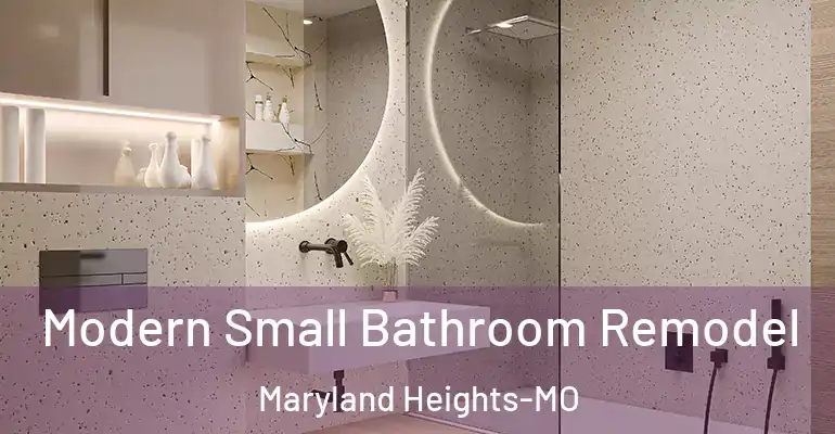 inner Bathroom imggen Modern Small Bathroom Remodel Maryland Heights-MO