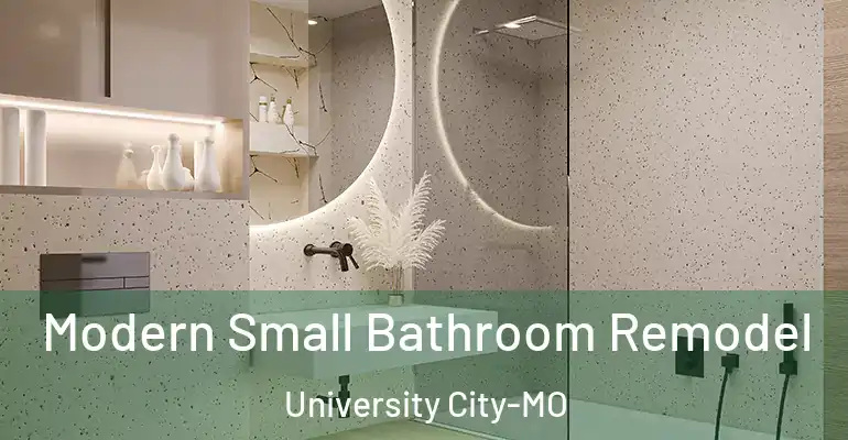 inner Bathroom imggen Modern Small Bathroom Remodel University City-MO