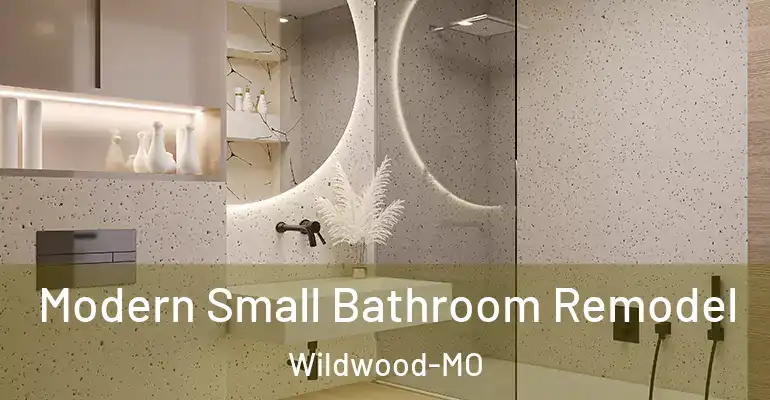 inner Bathroom imggen Modern Small Bathroom Remodel Wildwood-MO