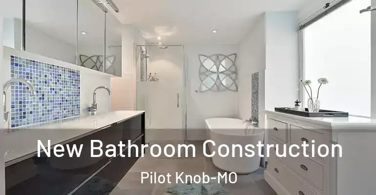 inner Bathroom imggen New Bathroom Construction Pilot Knob-MO