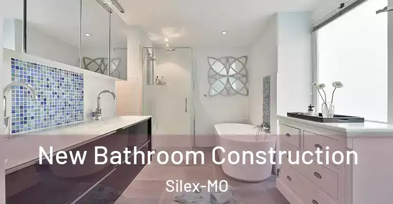 inner Bathroom imggen New Bathroom Construction Silex-MO