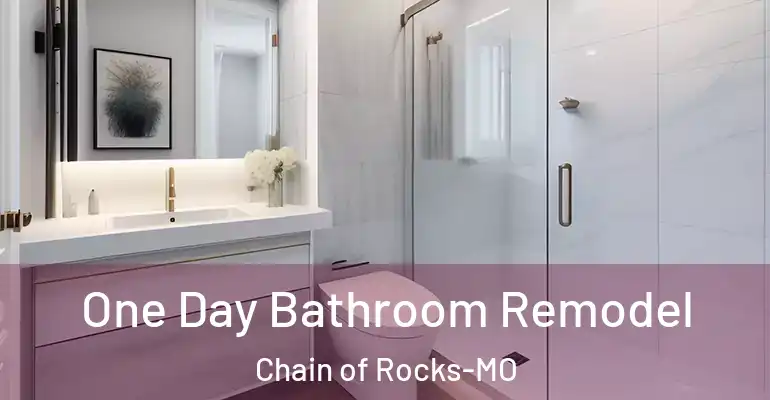 inner Bathroom imggen One Day Bathroom Remodel Chain of Rocks-MO