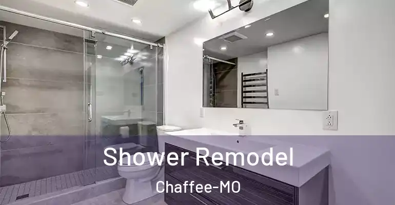 inner Bathroom imggen Shower Remodel Chaffee-MO