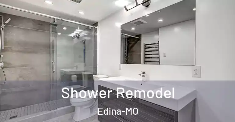 inner Bathroom imggen Shower Remodel Edina-MO
