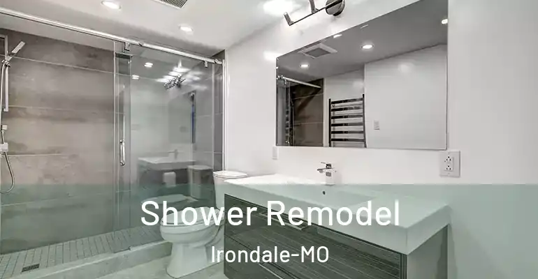 inner Bathroom imggen Shower Remodel Irondale-MO