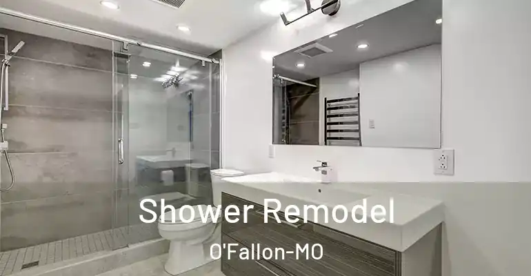 inner Bathroom imggen Shower Remodel O'Fallon-MO