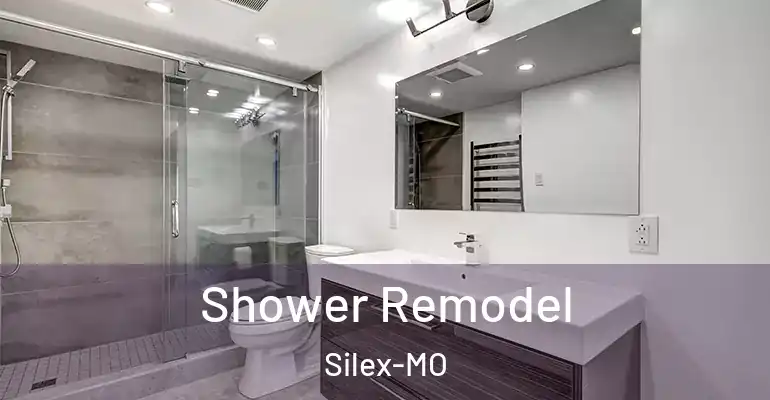 inner Bathroom imggen Shower Remodel Silex-MO