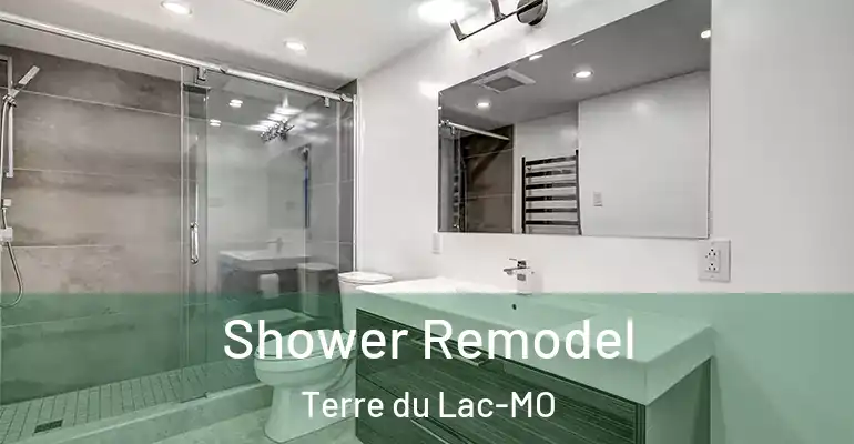 inner Bathroom imggen Shower Remodel Terre du Lac-MO