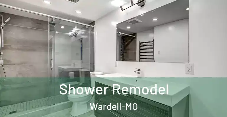 inner Bathroom imggen Shower Remodel Wardell-MO