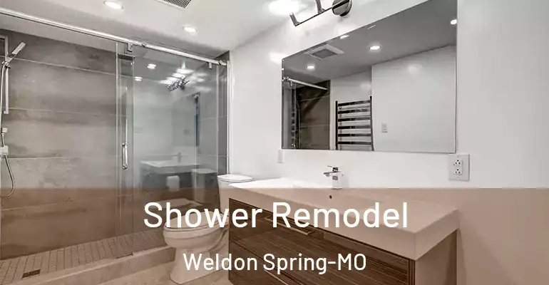 inner Bathroom imggen Shower Remodel Weldon Spring-MO