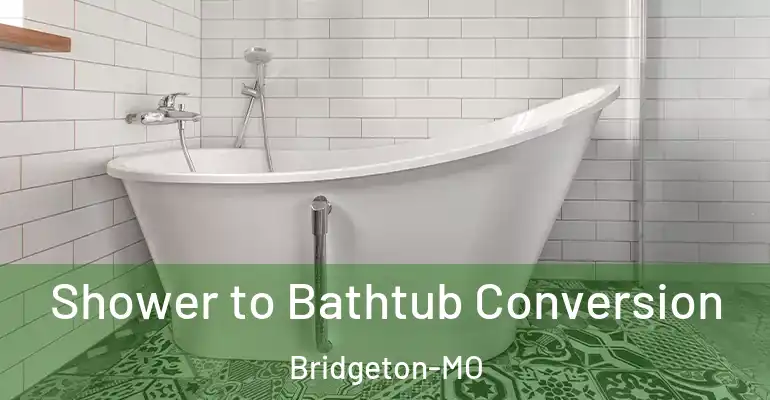 inner Bathroom imggen Shower to Bathtub Conversion Bridgeton-MO