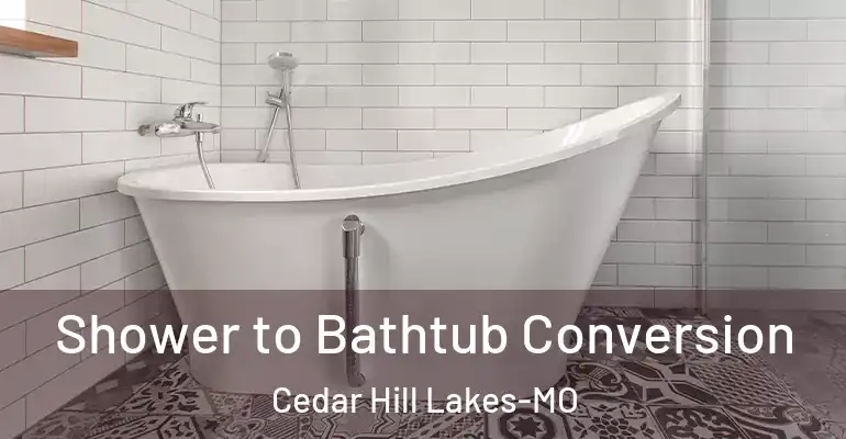 inner Bathroom imggen Shower to Bathtub Conversion Cedar Hill Lakes-MO