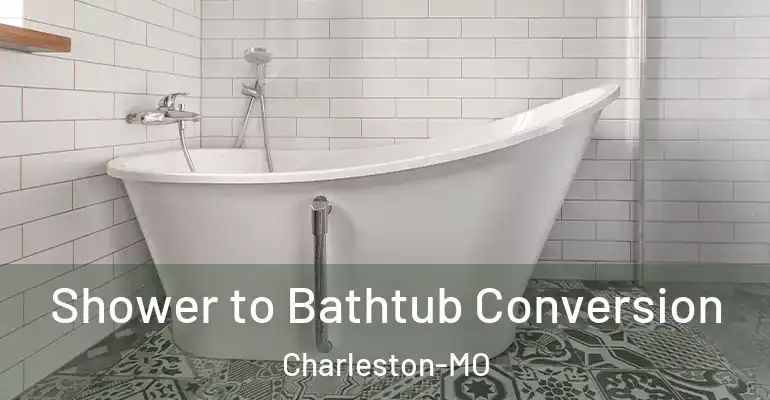 inner Bathroom imggen Shower to Bathtub Conversion Charleston-MO