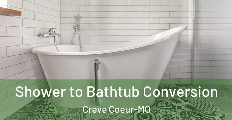inner Bathroom imggen Shower to Bathtub Conversion Creve Coeur-MO