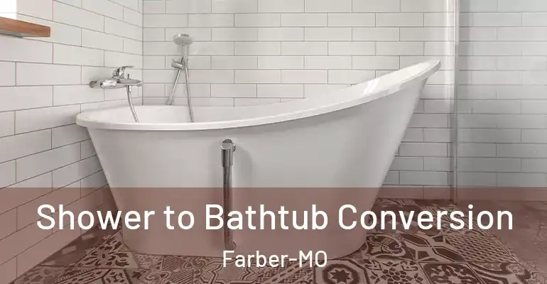 inner Bathroom imggen Shower to Bathtub Conversion Farber-MO