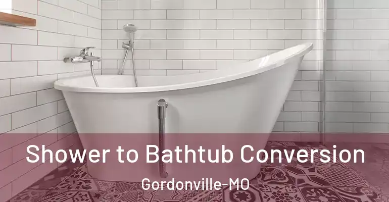 inner Bathroom imggen Shower to Bathtub Conversion Gordonville-MO