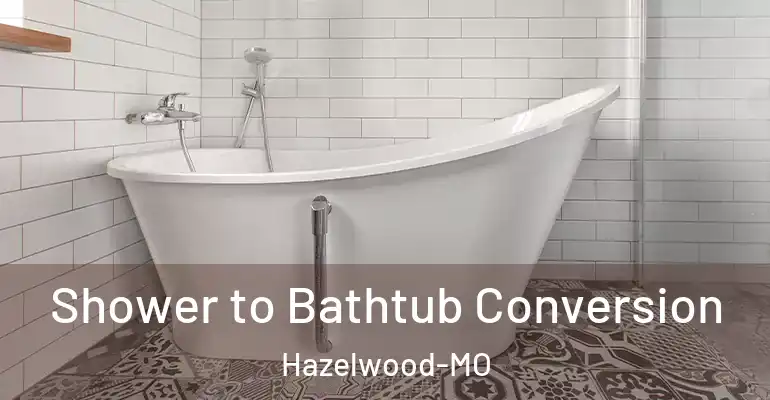 inner Bathroom imggen Shower to Bathtub Conversion Hazelwood-MO