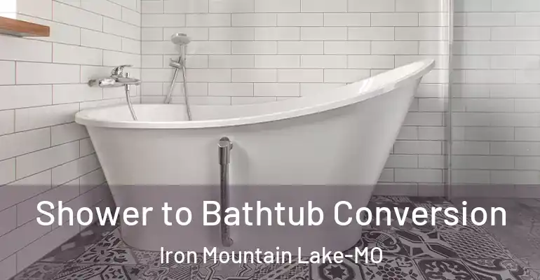 inner Bathroom imggen Shower to Bathtub Conversion Iron Mountain Lake-MO