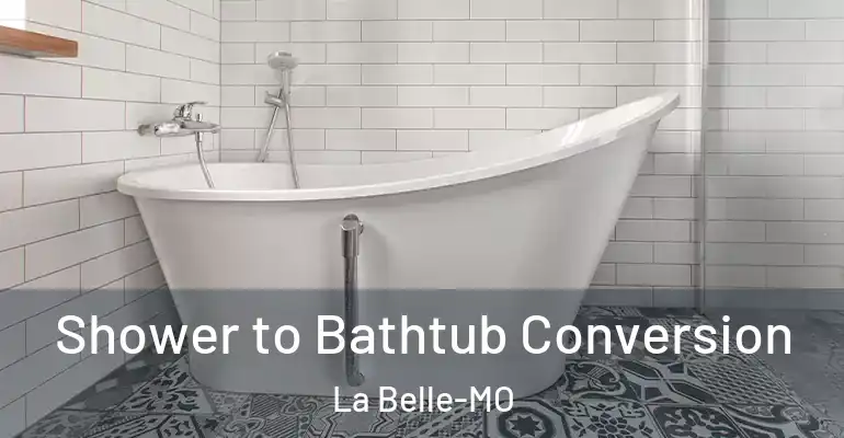 inner Bathroom imggen Shower to Bathtub Conversion La Belle-MO