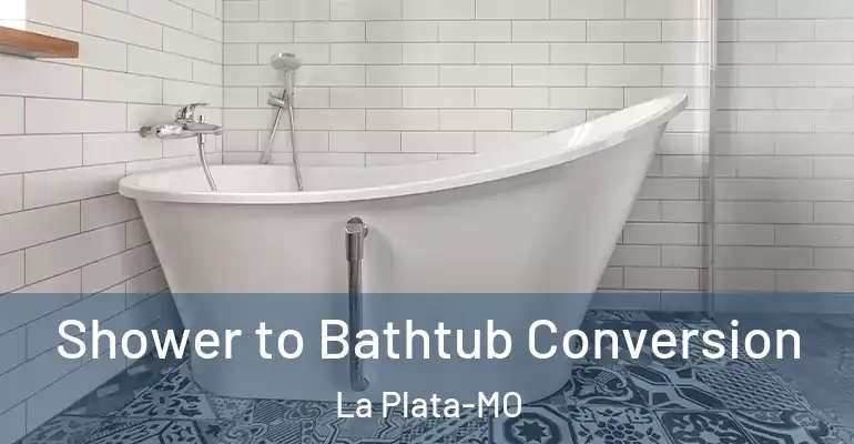 inner Bathroom imggen Shower to Bathtub Conversion La Plata-MO
