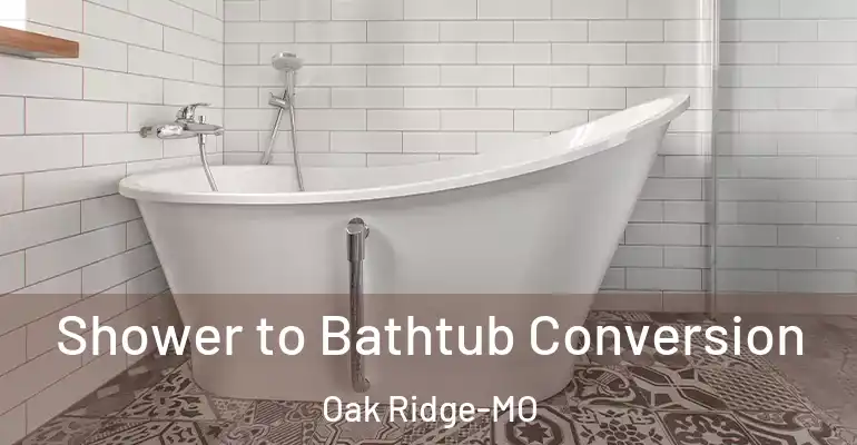 inner Bathroom imggen Shower to Bathtub Conversion Oak Ridge-MO