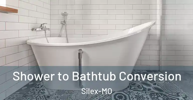 inner Bathroom imggen Shower to Bathtub Conversion Silex-MO