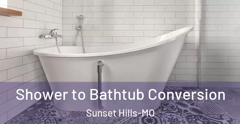 inner Bathroom imggen Shower to Bathtub Conversion Sunset Hills-MO