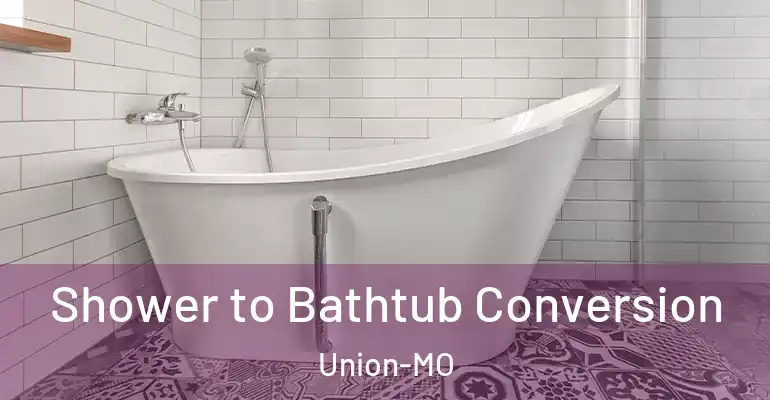 inner Bathroom imggen Shower to Bathtub Conversion Union-MO