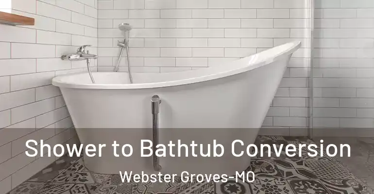 inner Bathroom imggen Shower to Bathtub Conversion Webster Groves-MO