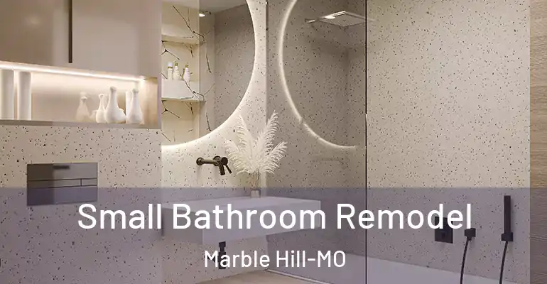 inner Bathroom imggen Small Bathroom Remodel Marble Hill-MO