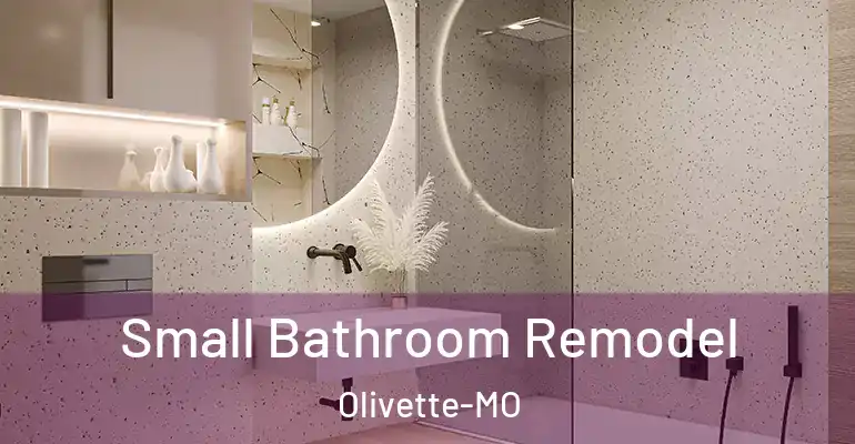 inner Bathroom imggen Small Bathroom Remodel Olivette-MO