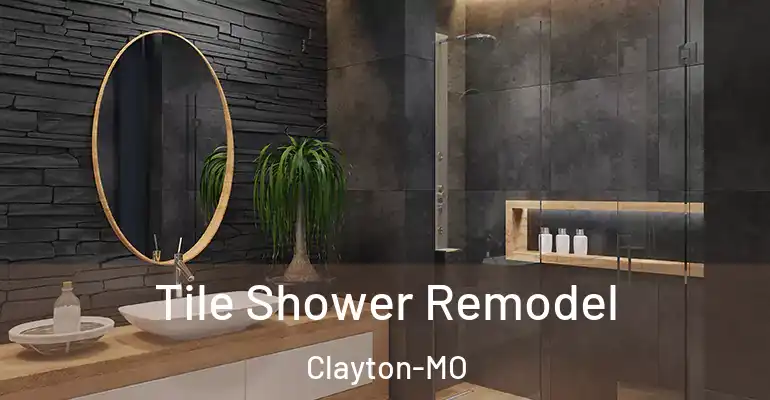 inner Bathroom imggen Tile Shower Remodel Clayton-MO