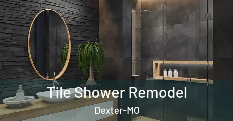 inner Bathroom imggen Tile Shower Remodel Dexter-MO