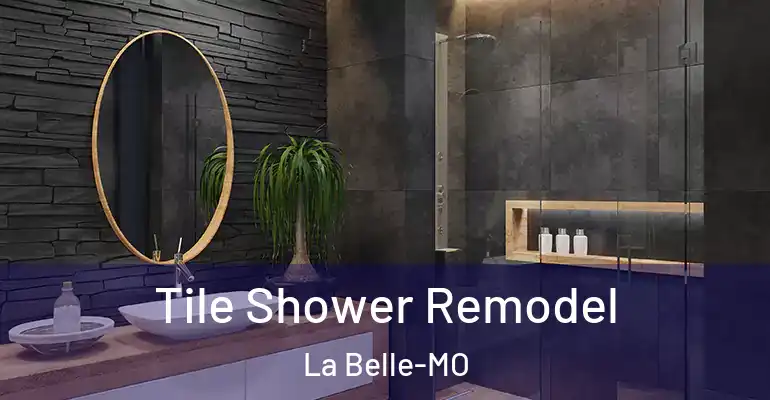 inner Bathroom imggen Tile Shower Remodel La Belle-MO