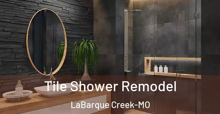 inner Bathroom imggen Tile Shower Remodel LaBarque Creek-MO