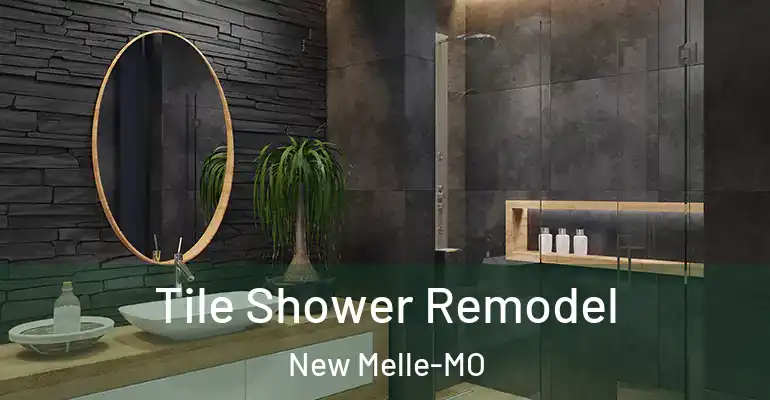 inner Bathroom imggen Tile Shower Remodel New Melle-MO