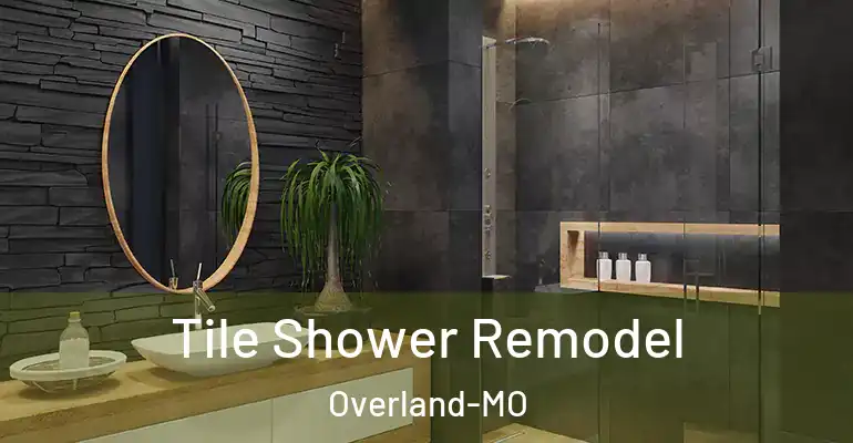inner Bathroom imggen Tile Shower Remodel Overland-MO