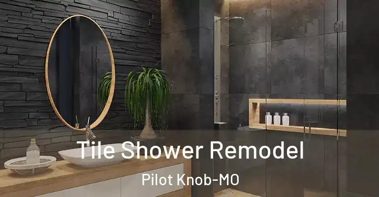 inner Bathroom imggen Tile Shower Remodel Pilot Knob-MO
