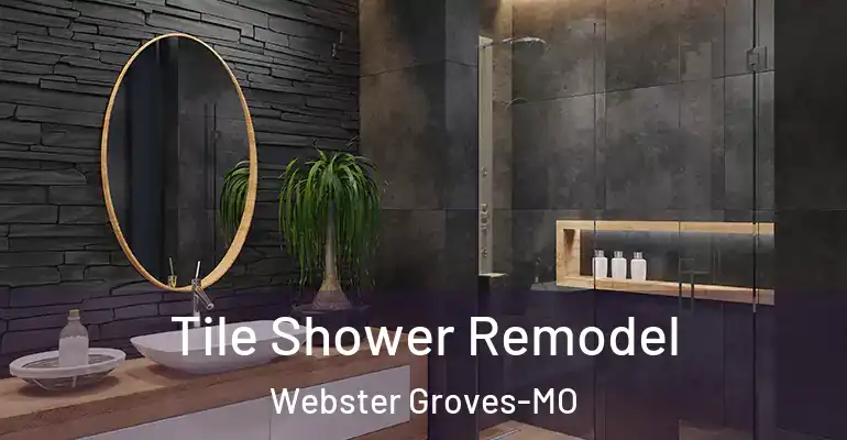 inner Bathroom imggen Tile Shower Remodel Webster Groves-MO