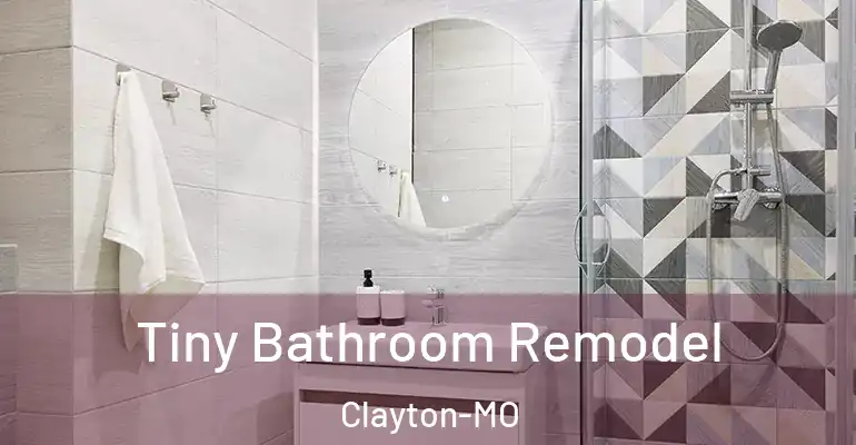 inner Bathroom imggen Tiny Bathroom Remodel Clayton-MO