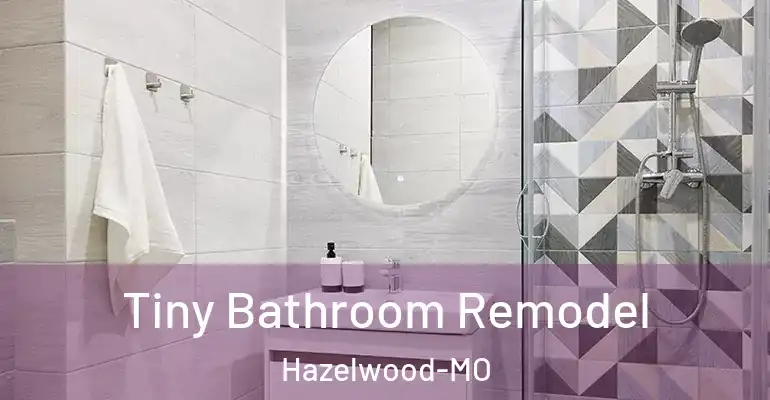 inner Bathroom imggen Tiny Bathroom Remodel Hazelwood-MO