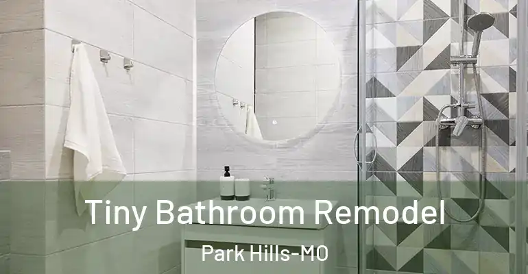 inner Bathroom imggen Tiny Bathroom Remodel Park Hills-MO