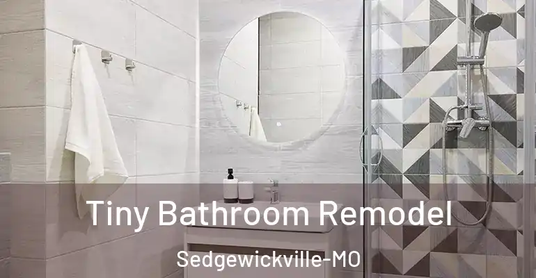 inner Bathroom imggen Tiny Bathroom Remodel Sedgewickville-MO